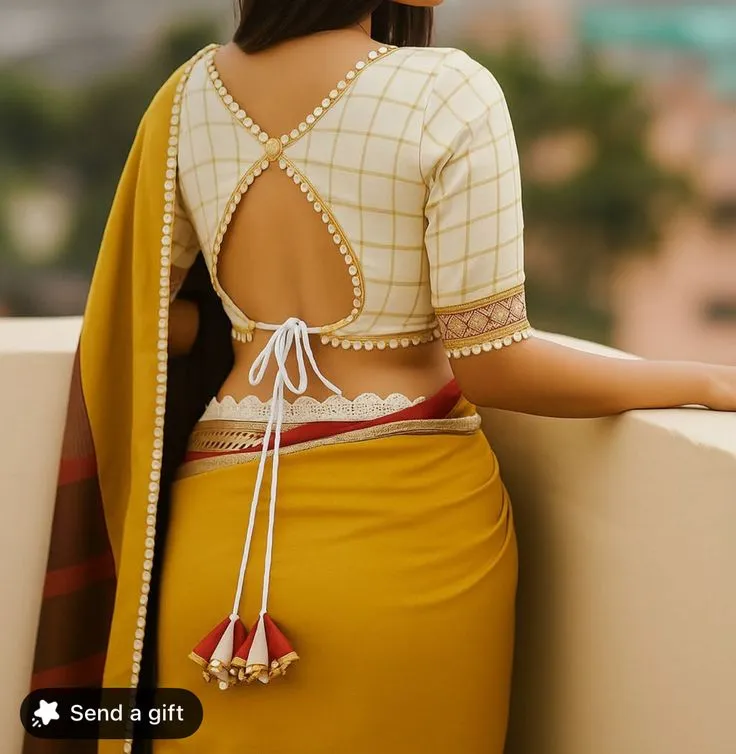 blouse back design photo